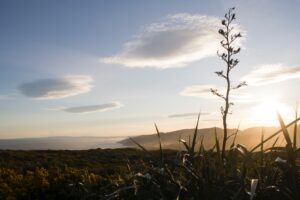 Dunedin, New Zealand, landscape and cloudy blue sky by Mathew Waters (@mathew_waters)